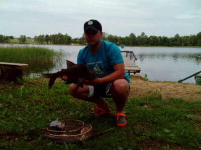 Carp bream ×8 — Čičirys