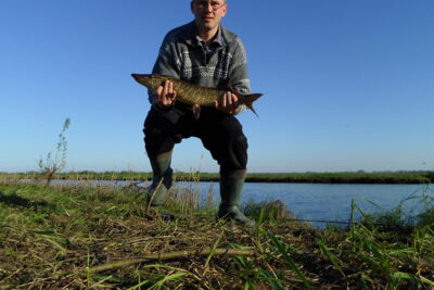 Northern Pike, 2.0 kg — Pamarukas