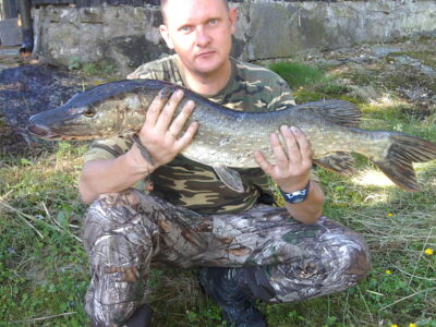 Northern Pike, 4.5 kg — Glomma