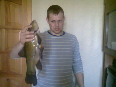 Tench — Laukžemių