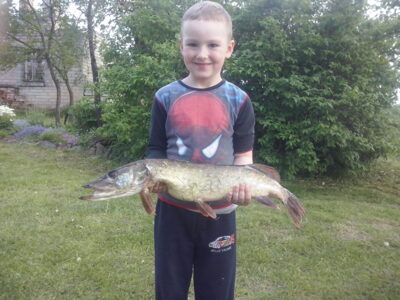 Northern Pike, 2.9 kg