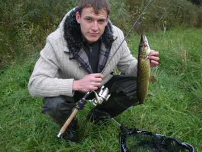 Northern Pike, 0.7 kg — Pazelvės