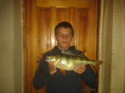 Eurasian perch, 1.1 kg