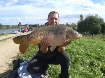 Carp, 11.0 kg