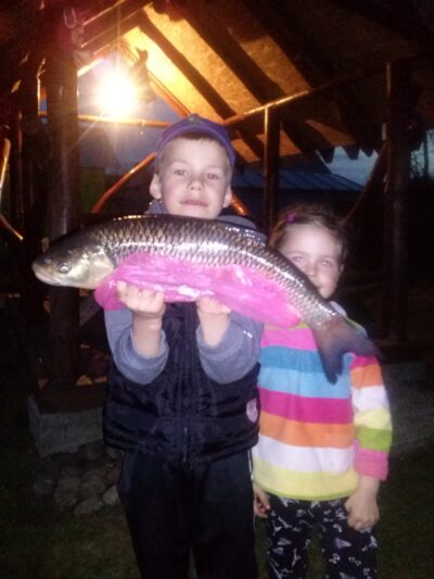 chub, 1.8 kg — Merkys