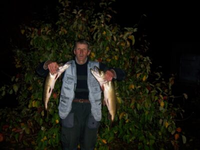 Northern Pike ×2 — Mūša