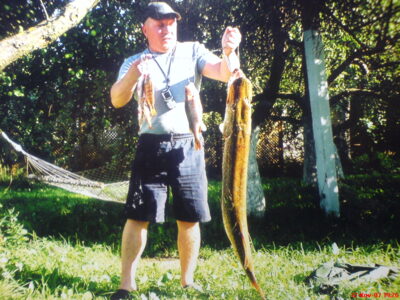Northern Pike, 11.5 kg