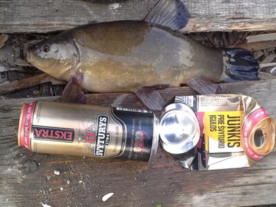 Tench, 0.7 kg — Paežerių