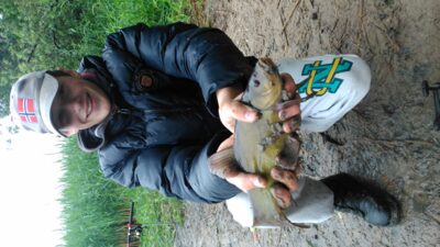 Tench — Gauštvinis