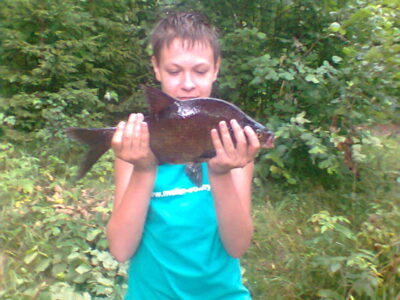 Carp bream, 1.4 kg — Bijotė