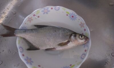 Carp bream — Marijampolės II-asis