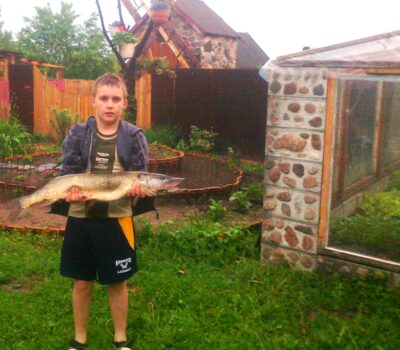 Northern Pike, 4.0 kg