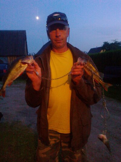 Eurasian perch ×2 — Sartai