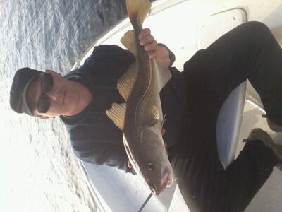 Atlantic cod, 3.0 kg