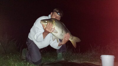 Carp, 10.0 kg