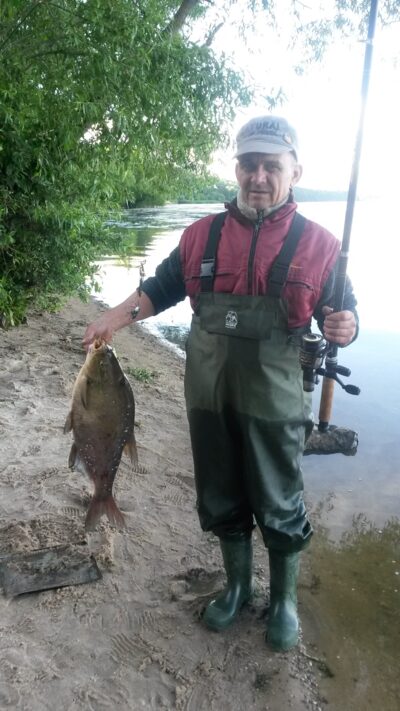 Carp bream, 3.1 kg — Kaunas reservoir