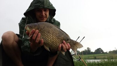Crucian carp, 2.5 kg