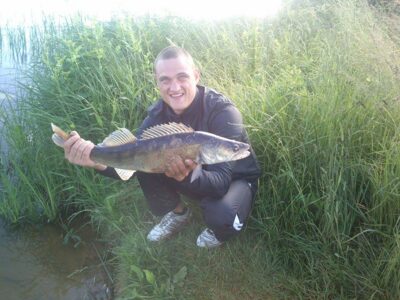 Pike perch, 2.9 kg