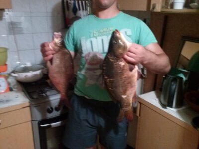 Carp, 2.5 kg — Ekrano gamyklos