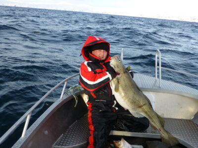 Atlantic cod, 22.0 kg — Norwegian Sea