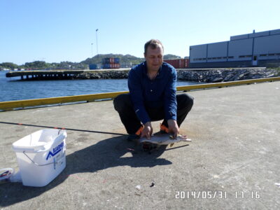 Ocean Trout, 1.8 kg