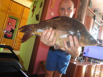 Carp, 2.2 kg — Ekrano gamyklos