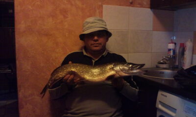 Northern Pike, 3.0 kg — Neris River
