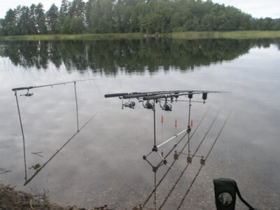 Carp bream, 0.9 kg — Siesartis
