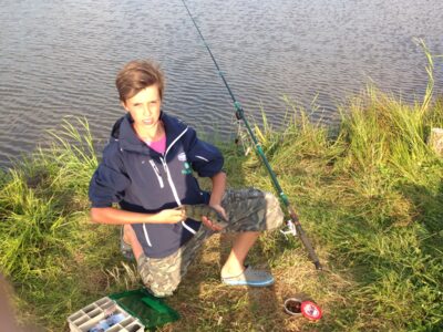 Eurasian perch, 0.7 kg
