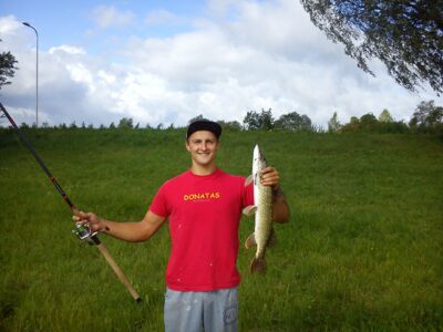 Northern Pike, 1.8 kg