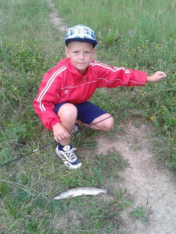 Northern Pike, 0.5 kg — Venta