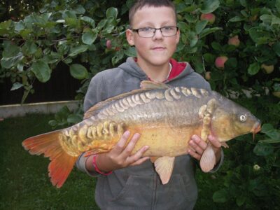 Carp, 5.0 kg