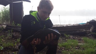 Carp bream ×4