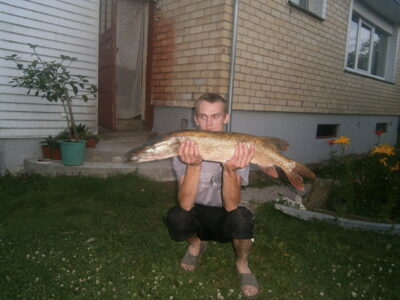 Northern Pike, 5.2 kg