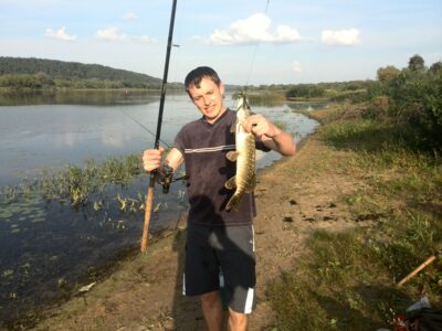 Northern Pike, 0.8 kg — Neman River