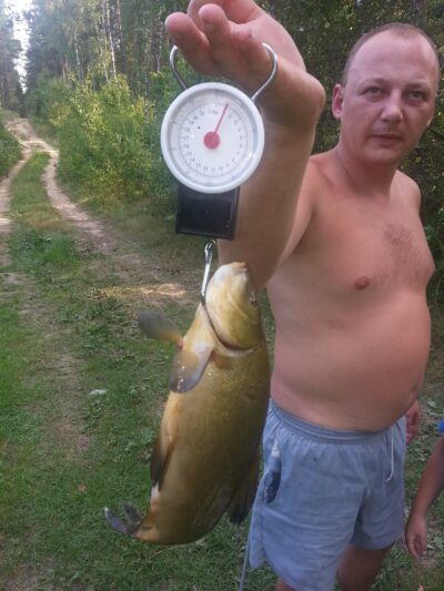 Tench, 1.2 kg — Lielukas