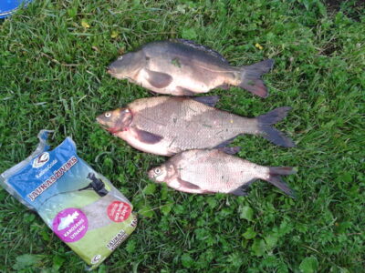 Carp bream, 2.0 kg — Ekrano gamyklos