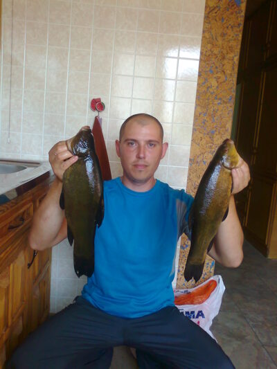 Tench, 1.5 kg — Liberiškio