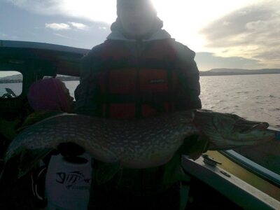 Northern Pike, 13.4 kg