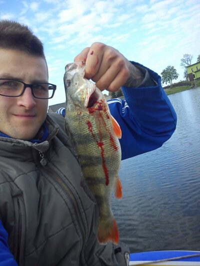 Eurasian perch, 0.7 kg — Balsių