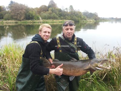 Atlantic salmon, 13.0 kg — Neris River
