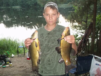 Tench ×2