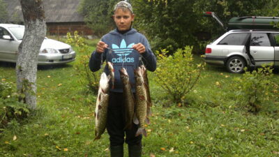 Northern Pike