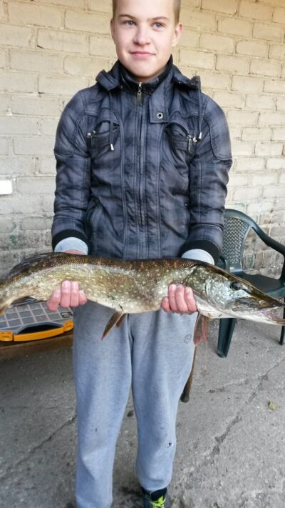 Northern Pike, 2.4 kg