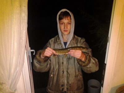 Northern Pike, 0.6 kg — Balėnų I-asis
