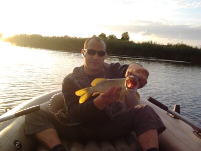 Northern Pike