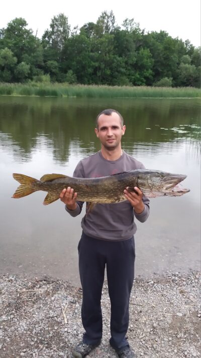 Northern Pike, 6.3 kg