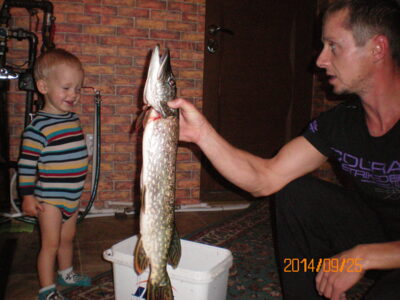Northern Pike