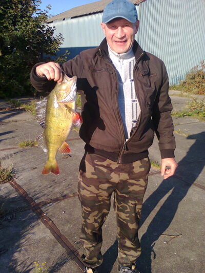 Eurasian perch, 1.8 kg — Padvarių