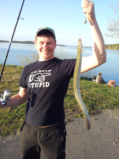 European eel